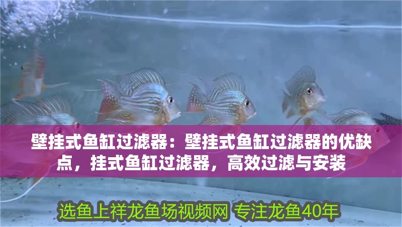 壁掛式魚缸過濾器：壁掛式魚缸過濾器的優缺點，掛式魚缸過濾器，高效過濾與安裝