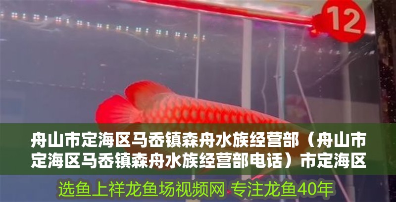 舟山市定海區(qū)馬岙鎮(zhèn)森舟水族經(jīng)營(yíng)部（舟山市定海區(qū)馬岙鎮(zhèn)森舟水族經(jīng)營(yíng)部電話）市定海區(qū)馬岙鎮(zhèn)森舟水族經(jīng)營(yíng)部聯(lián)系方式
