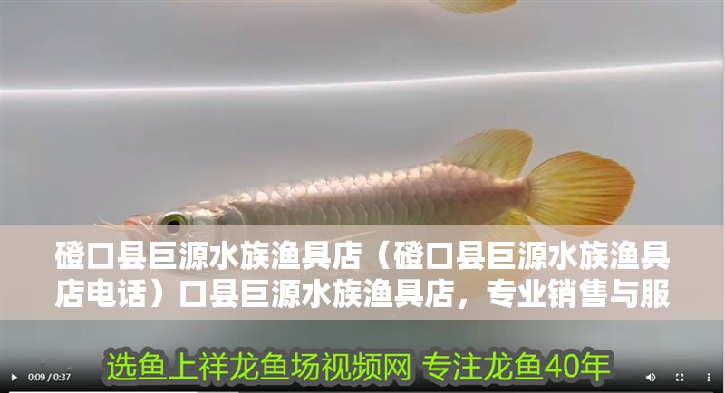 磴口縣巨源水族漁具店（磴口縣巨源水族漁具店電話）口縣巨源水族漁具店，專業(yè)銷售與服務(wù)