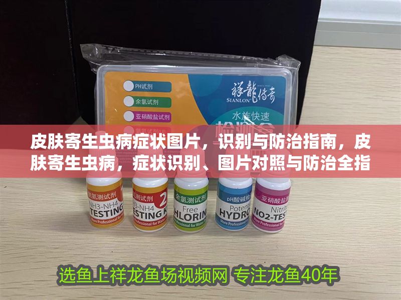 皮膚寄生蟲病癥狀圖片，識別與防治指南，皮膚寄生蟲病，癥狀識別、圖片對照與防治全指南