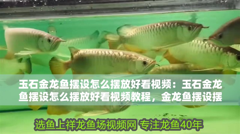 玉石金龍魚擺設怎么擺放好看視頻：玉石金龍魚擺設怎么擺放好看視頻教程，金龍魚擺設擺放技巧與視頻教程