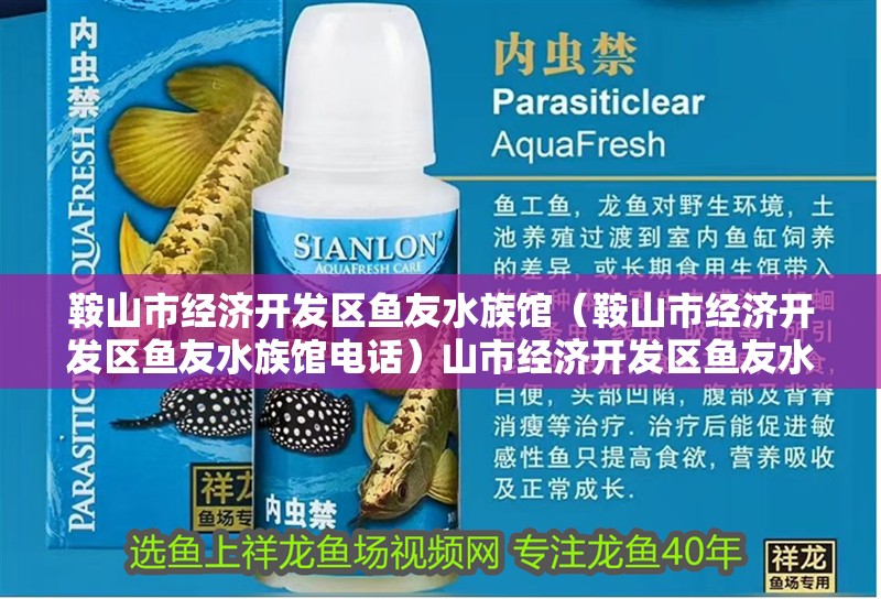 鞍山市經濟開發區魚友水族館（鞍山市經濟開發區魚友水族館電話）山市經濟開發區魚友水族館，探索海洋生物的奇妙