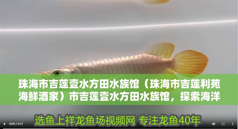 珠海市吉蓮壹水方田水族館（珠海市吉蓮利苑海鮮酒家）市吉蓮壹水方田水族館，探索海洋奧秘 珠海市吉蓮壹水方田水族館（珠海市吉蓮利苑海鮮酒家）市吉蓮壹水方田水族館，探索海洋奧秘 全國水族館企業(yè)名錄 第2張