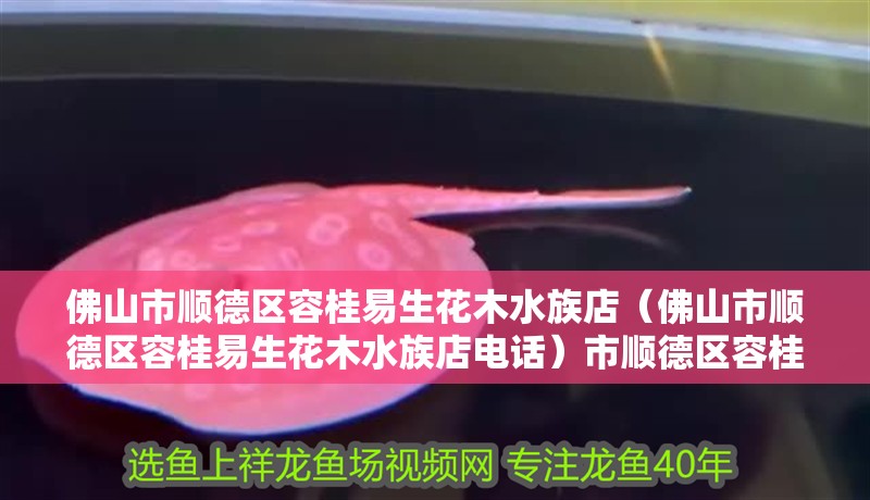 佛山市順德區(qū)容桂易生花木水族店（佛山市順德區(qū)容桂易生花木水族店電話）市順德區(qū)容桂易生花木水族店聯系方式及服務