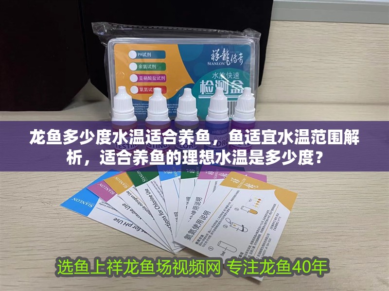 龍魚多少度水溫適合養(yǎng)魚，魚適宜水溫范圍解析，適合養(yǎng)魚的理想水溫是多少度？