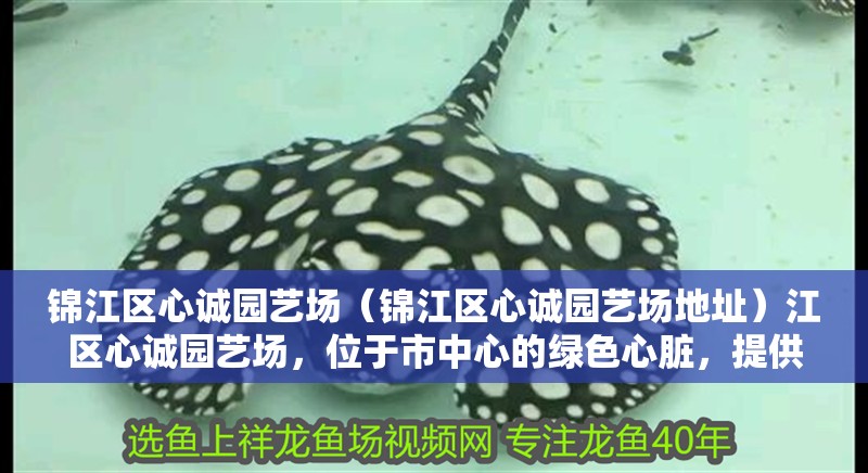 錦江區心誠園藝場（錦江區心誠園藝場地址）江區心誠園藝場，位于市中心的綠色心臟，提供