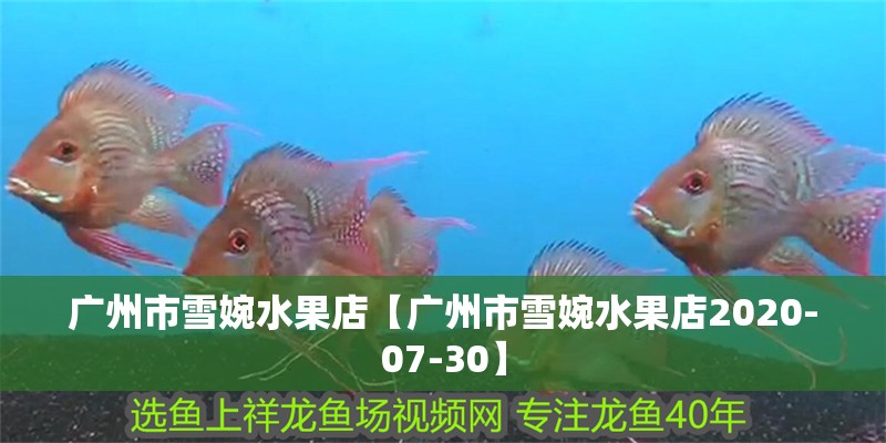 廣州市雪婉水果店【廣州市雪婉水果店2020-07-30】