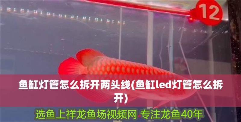 魚缸燈管怎么拆開兩頭線(魚缸led燈管怎么拆開)