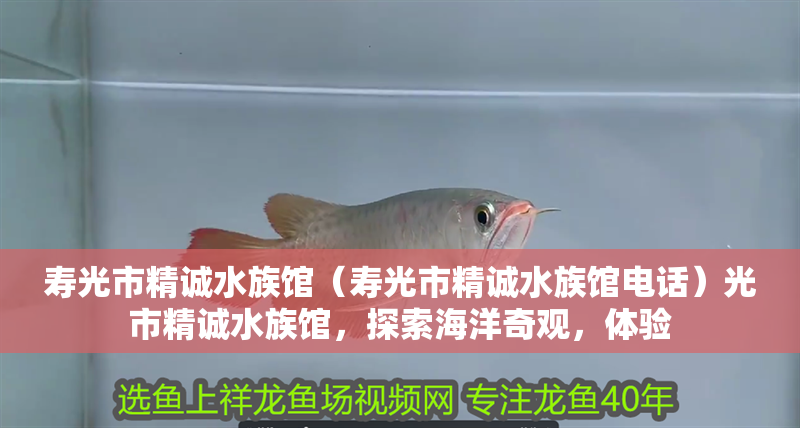 壽光市精誠水族館（壽光市精誠水族館電話）光市精誠水族館，探索海洋奇觀，體驗(yàn) 壽光市精誠水族館（壽光市精誠水族館電話）光市精誠水族館，探索海洋奇觀，體驗(yàn) 全國水族館企業(yè)名錄 第2張