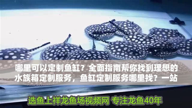 哪里可以定制魚缸？全面指南幫你找到理想的水族箱定制服務，魚缸定制服務哪里找？一站式指南助你打造完美水族箱