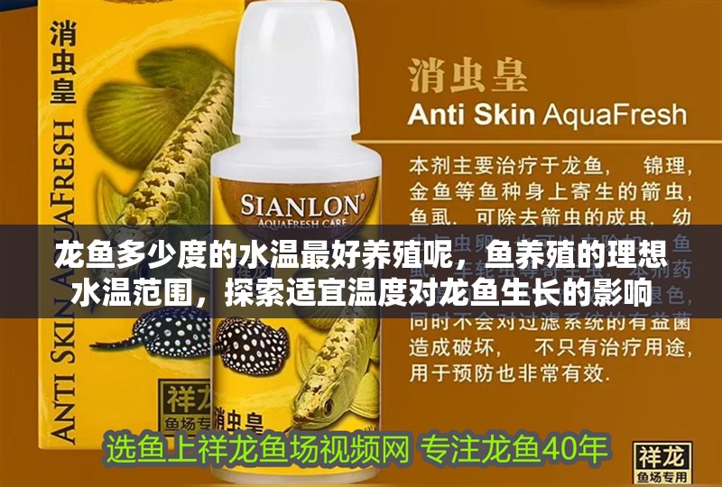 龍魚多少度的水溫最好養殖呢，魚養殖的理想水溫范圍，探索適宜溫度對龍魚生長的影響