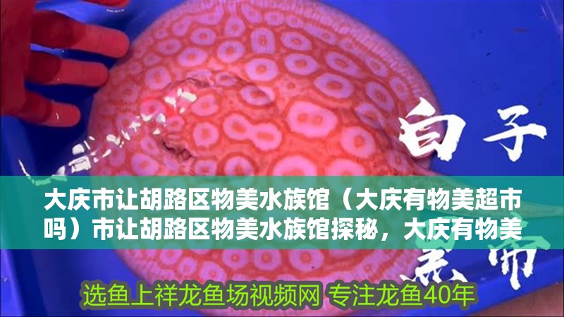 大慶市讓胡路區(qū)物美水族館（大慶有物美超市嗎）市讓胡路區(qū)物美水族館探秘，大慶有物美超市嗎？