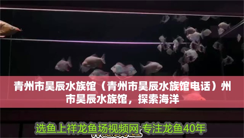 青州市昊辰水族館（青州市昊辰水族館電話）州市昊辰水族館，探索海洋