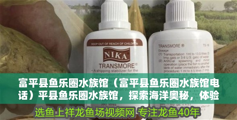 富平縣魚樂圈水族館（富平縣魚樂圈水族館電話）平縣魚樂圈水族館，探索海洋奧秘，體驗