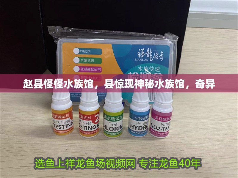 趙縣怪怪水族館,縣驚現(xiàn)神秘水族館,奇異 全國水族館企業(yè)名錄 第2張 趙縣怪怪水族館,縣驚現(xiàn)神秘水族館,奇異 趙縣怪怪水族館,縣驚現(xiàn)神秘水族館,奇異 全國水族館企業(yè)名錄 第2張