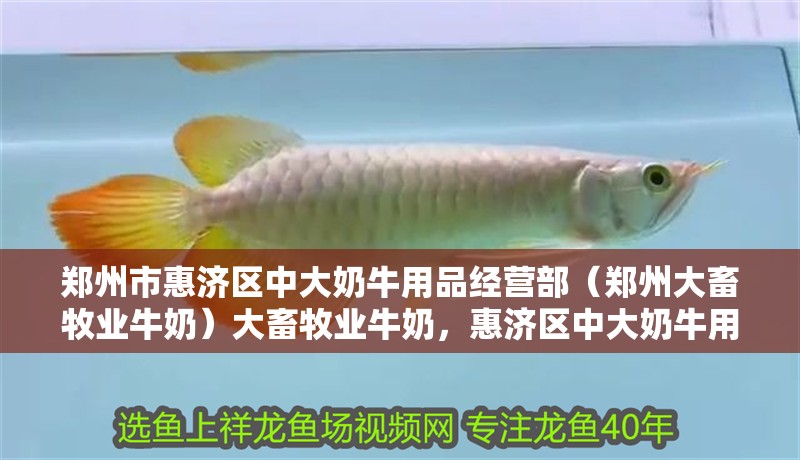 鄭州市惠濟區中大奶牛用品經營部（鄭州大畜牧業牛奶）大畜牧業牛奶，惠濟區中大奶牛用品經營部引領