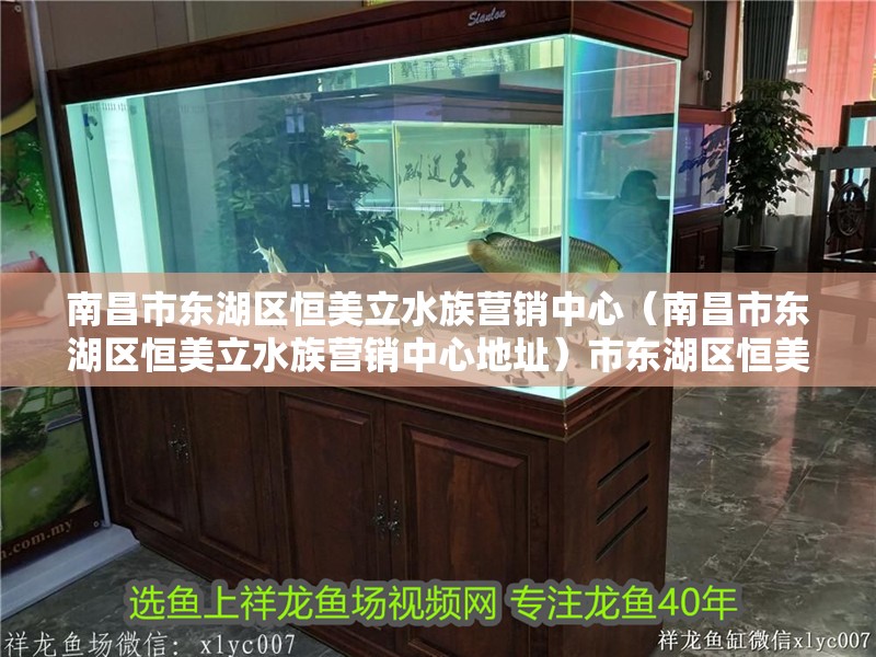 南昌市東湖區恒美立水族營銷中心（南昌市東湖區恒美立水族營銷中心地址）市東湖區恒美立水族營銷中心，探索水