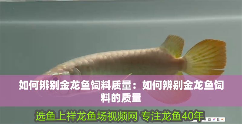 如何辨別金龍魚(yú)飼料質(zhì)量：如何辨別金龍魚(yú)飼料的質(zhì)量
