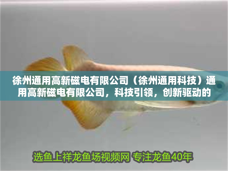 徐州通用高新磁電有限公司（徐州通用科技）通用高新磁電有限公司，科技引領，創新驅動的磁電解決方案