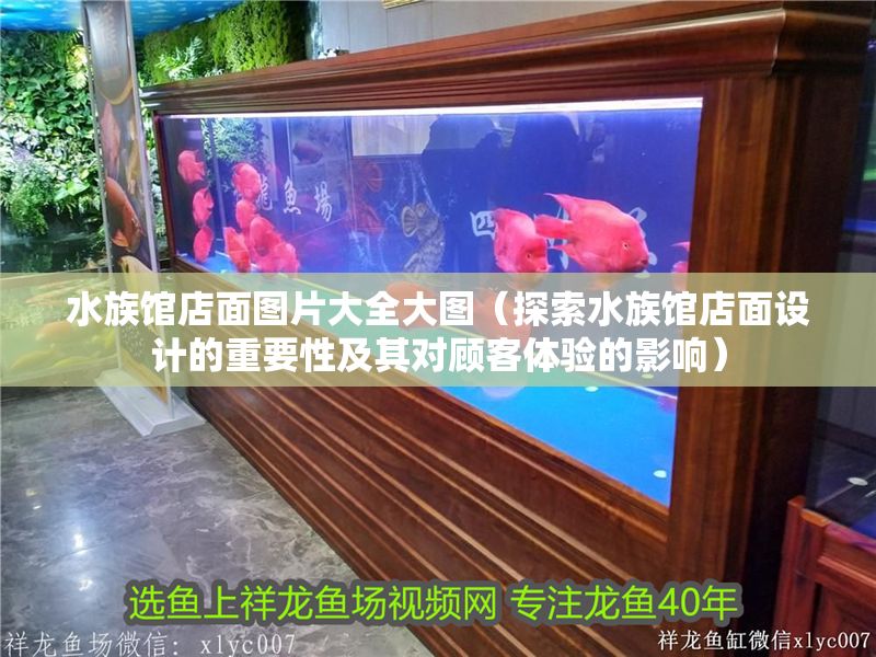 水族館店面圖片大全大圖（探索水族館店面設計的重要性及其對顧客體驗的影響）
