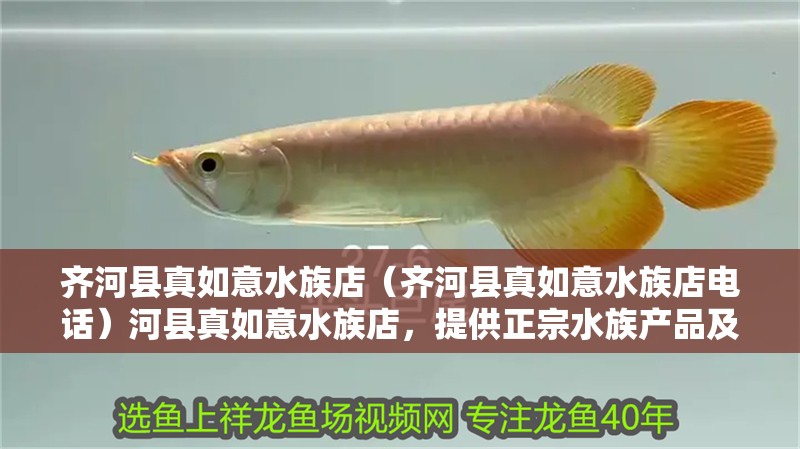 齊河縣真如意水族店（齊河縣真如意水族店電話）河縣真如意水族店，提供正宗水族產(chǎn)品及