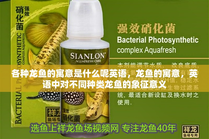 各種龍魚的寓意是什么呢英語，龍魚的寓意，英語中對不同種類龍魚的象征意義