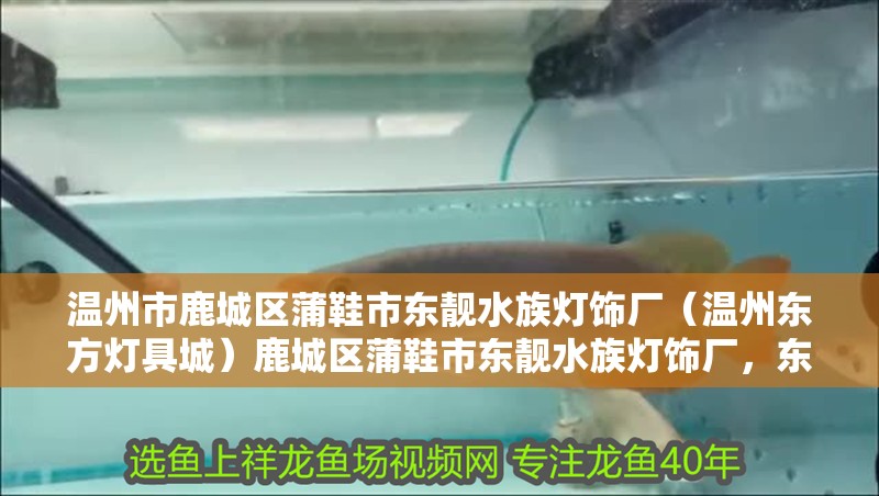 溫州市鹿城區蒲鞋市東靚水族燈飾廠（溫州東方燈具城）鹿城區蒲鞋市東靚水族燈飾廠，東方燈具城引領照明新潮流