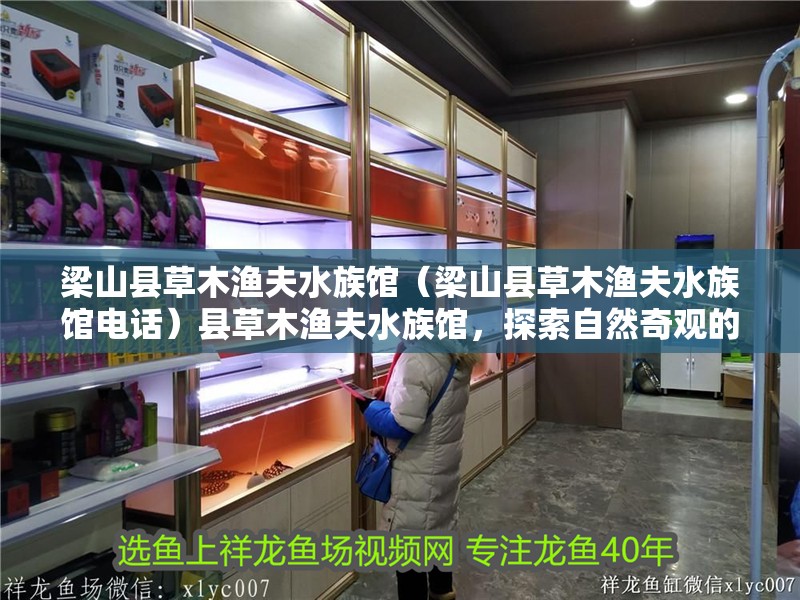 梁山縣草木漁夫水族館（梁山縣草木漁夫水族館電話）縣草木漁夫水族館，探索自然奇觀的完美