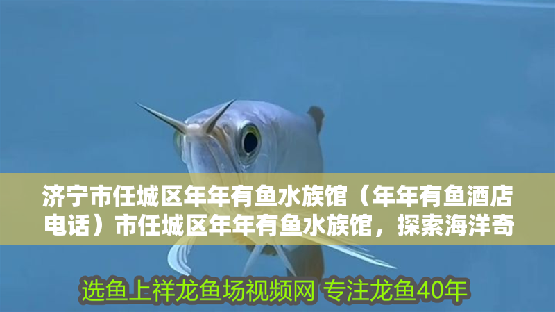 濟寧市任城區(qū)年年有魚水族館（年年有魚酒店電話）市任城區(qū)年年有魚水族館，探索海洋奇