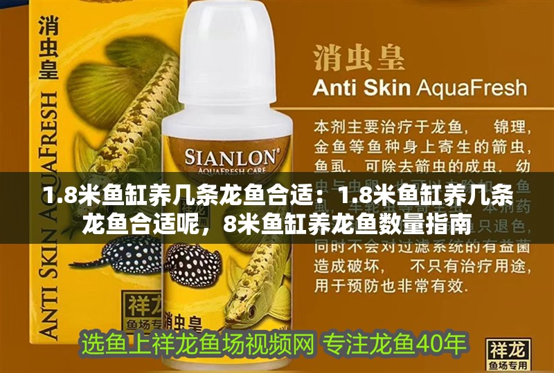 1.8米魚缸養幾條龍魚合適：1.8米魚缸養幾條龍魚合適呢，8米魚缸養龍魚數量指南