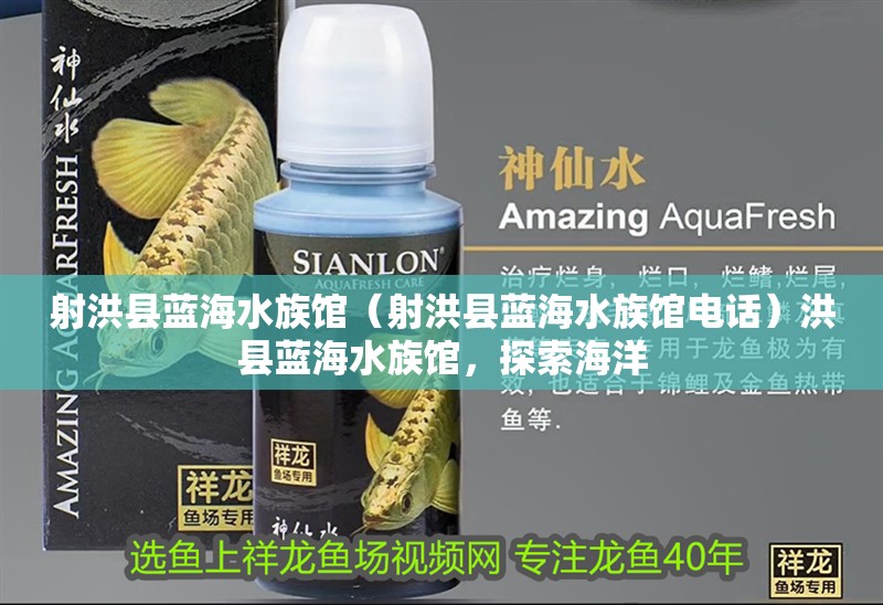 射洪縣藍海水族館（射洪縣藍海水族館電話）洪縣藍海水族館，探索海洋