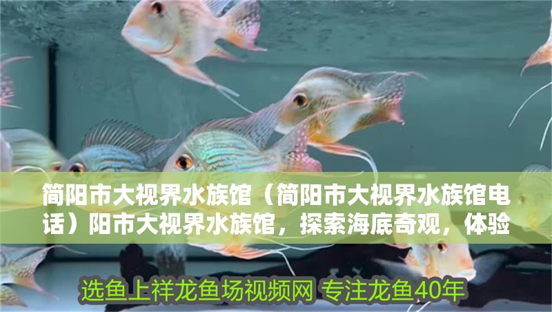 簡陽市大視界水族館（簡陽市大視界水族館電話）陽市大視界水族館，探索海底奇觀，體驗神秘
