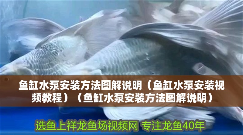 魚缸水泵安裝方法圖解說明（魚缸水泵安裝視頻教程）（魚缸水泵安裝方法圖解說明）