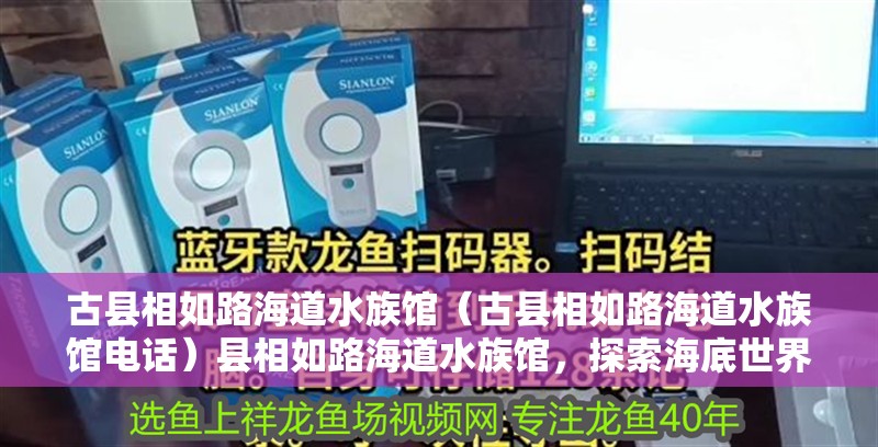 古縣相如路海道水族館（古縣相如路海道水族館電話）縣相如路海道水族館，探索海底世界的奇妙