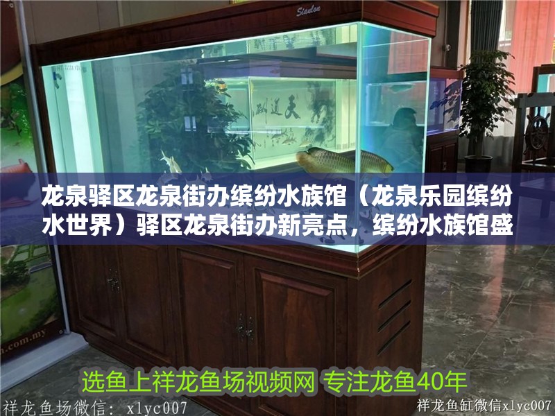 龍泉驛區龍泉街辦繽紛水族館（龍泉樂園繽紛水世界）驛區龍泉街辦新亮點，繽紛水族館盛大開幕，邀您共赴水