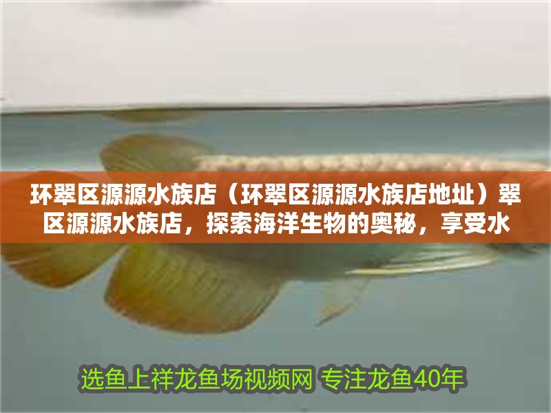 環翠區源源水族店（環翠區源源水族店地址）翠區源源水族店，探索海洋生物的奧秘，享受水