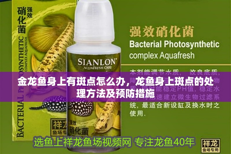 金龍魚身上有斑點怎么辦，龍魚身上斑點的處理方法及預防措施