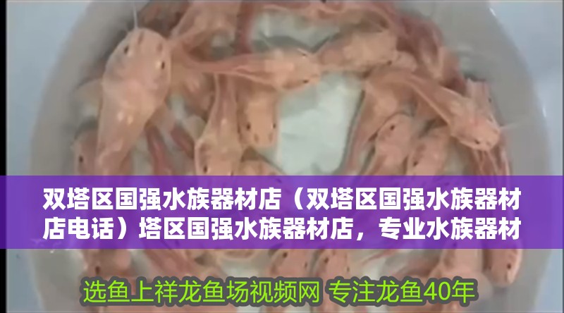 雙塔區國強水族器材店（雙塔區國強水族器材店電話）塔區國強水族器材店，專業水族器材供應商