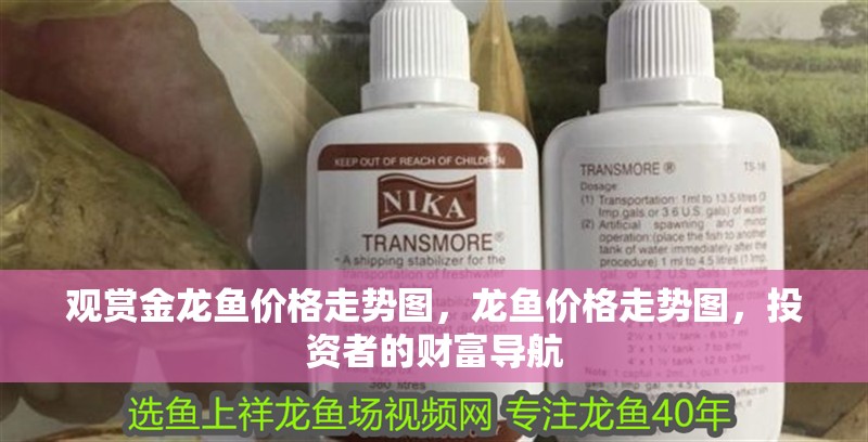 觀賞金龍魚價(jià)格走勢(shì)圖,龍魚價(jià)格走勢(shì)圖,投資者的財(cái)富導(dǎo)航 龍魚百科 第2張 觀賞金龍魚價(jià)格走勢(shì)圖,龍魚價(jià)格走勢(shì)圖,投資者的財(cái)富導(dǎo)航 觀賞金龍魚價(jià)格走勢(shì)圖,龍魚價(jià)格走勢(shì)圖,投資者的財(cái)富導(dǎo)航 龍魚百科 第2張