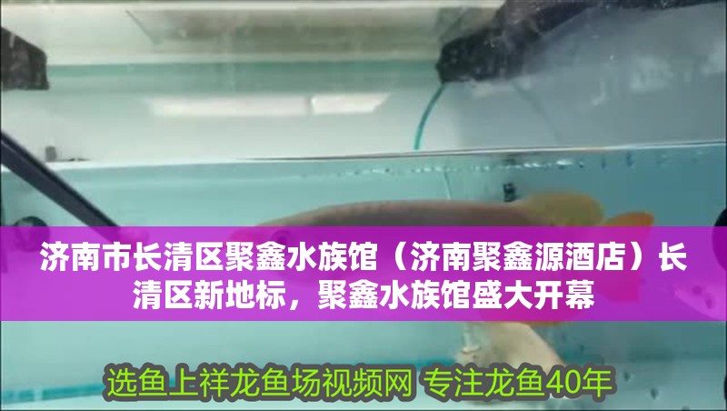 濟南市長清區聚鑫水族館（濟南聚鑫源酒店）長清區新地標，聚鑫水族館盛大開幕
