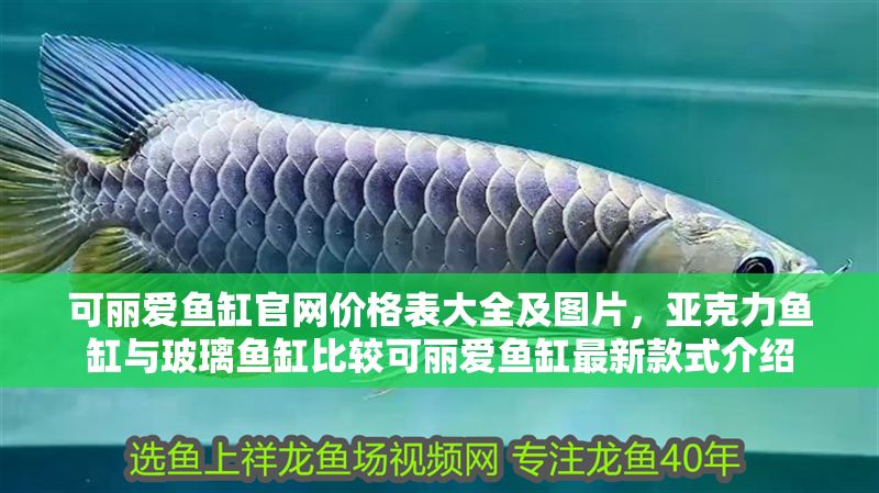可麗愛魚缸官網價格表大全及圖片，亞克力魚缸與玻璃魚缸比較可麗愛魚缸最新款式介紹