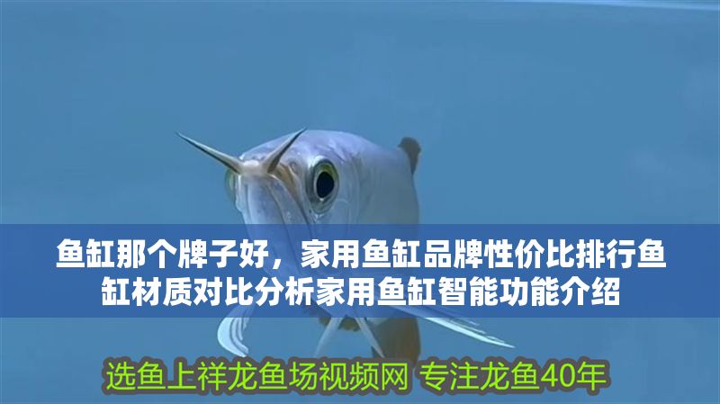 魚缸那個(gè)牌子好，家用魚缸品牌性價(jià)比排行魚缸材質(zhì)對(duì)比分析家用魚缸智能功能介紹