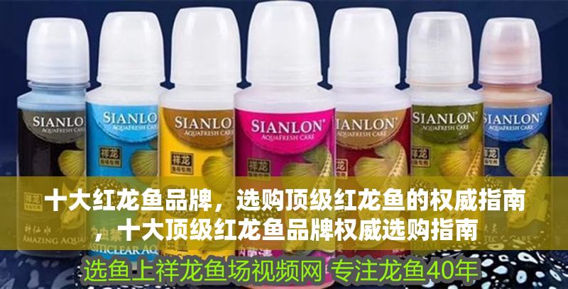 十大紅龍魚品牌，選購頂級紅龍魚的權威指南，十大頂級紅龍魚品牌權威選購指南