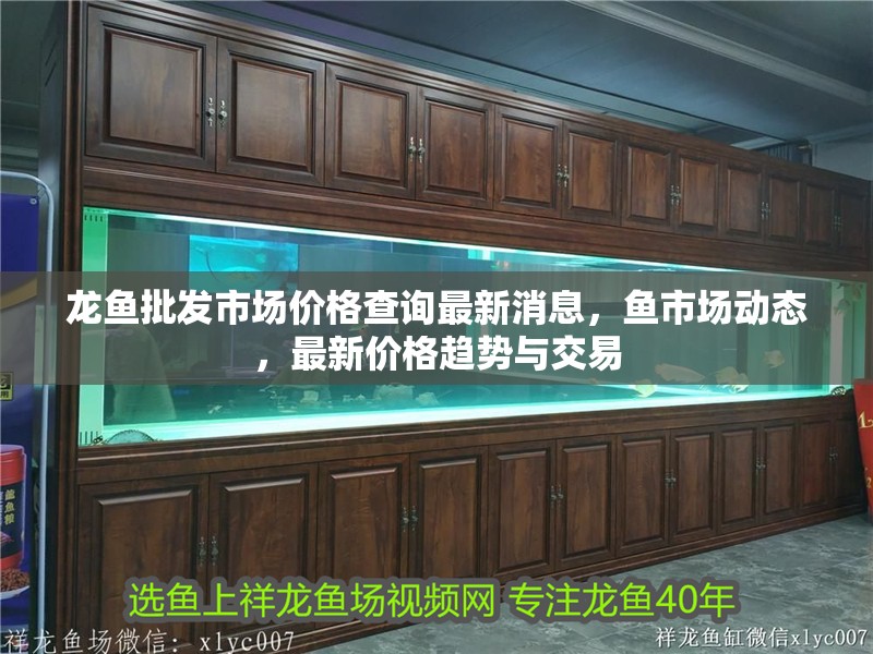 龍魚批發市場價格查詢最新消息，魚市場動態，最新價格趨勢與交易
