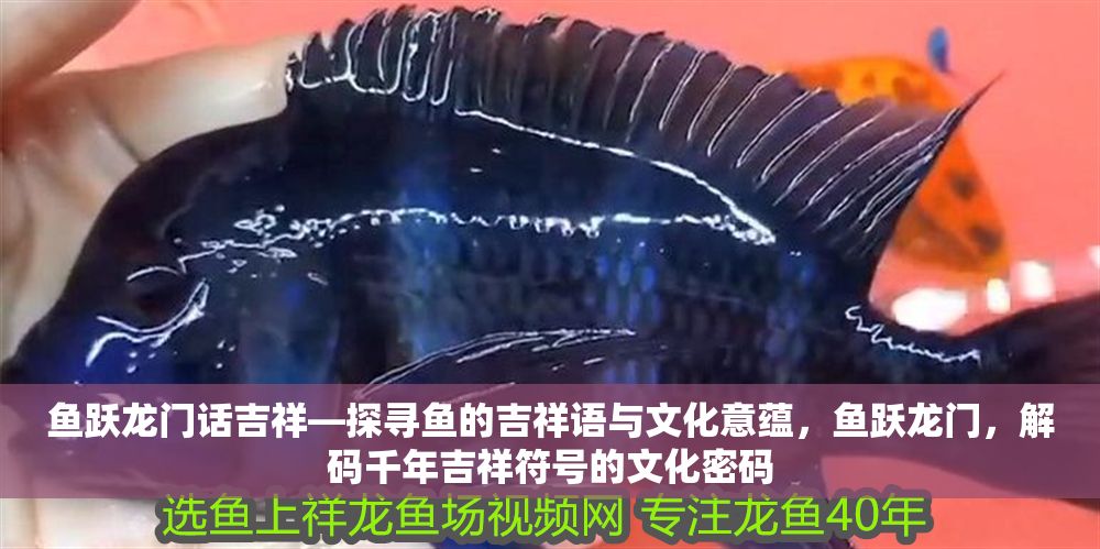 魚躍龍門話吉祥—探尋魚的吉祥語與文化意蘊，魚躍龍門，解碼千年吉祥符號的文化密碼