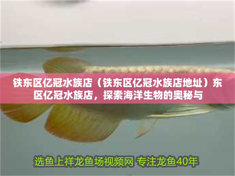 鐵東區億冠水族店（鐵東區億冠水族店地址）東區億冠水族店，探索海洋生物的奧秘與 鐵東區億冠水族店（鐵東區億冠水族店地址）東區億冠水族店，探索海洋生物的奧秘與 全國水族館企業名錄 第2張