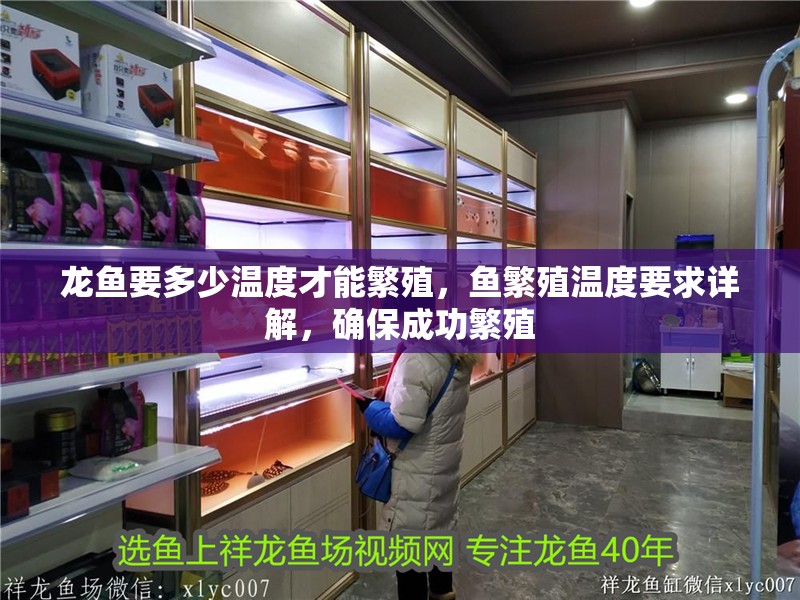 龍魚要多少溫度才能繁殖，魚繁殖溫度要求詳解，確保成功繁殖 龍魚要多少溫度才能繁殖，魚繁殖溫度要求詳解，確保成功繁殖 龍魚百科 第2張