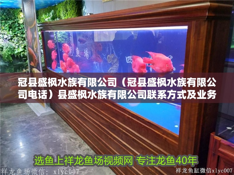 冠縣盛楓水族有限公司（冠縣盛楓水族有限公司電話）縣盛楓水族有限公司聯系方式及業務