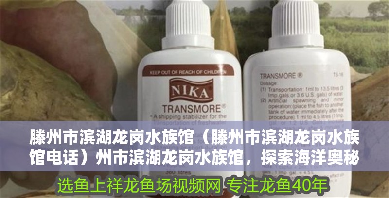 滕州市濱湖龍崗水族館（滕州市濱湖龍崗水族館電話）州市濱湖龍崗水族館，探索海洋奧秘的絕