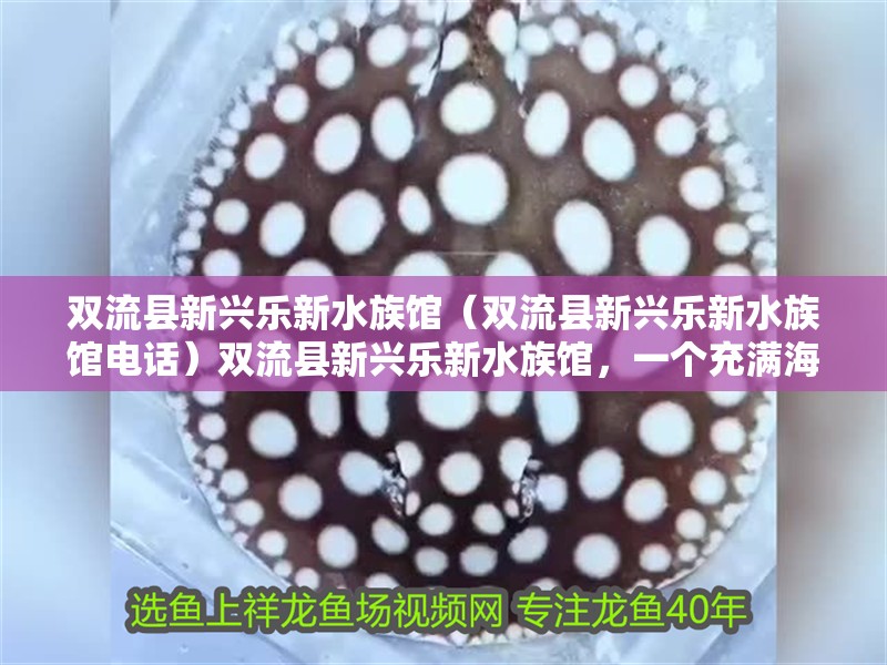 雙流縣新興樂新水族館（雙流縣新興樂新水族館電話）雙流縣新興樂新水族館，一個(gè)充滿海洋奧秘